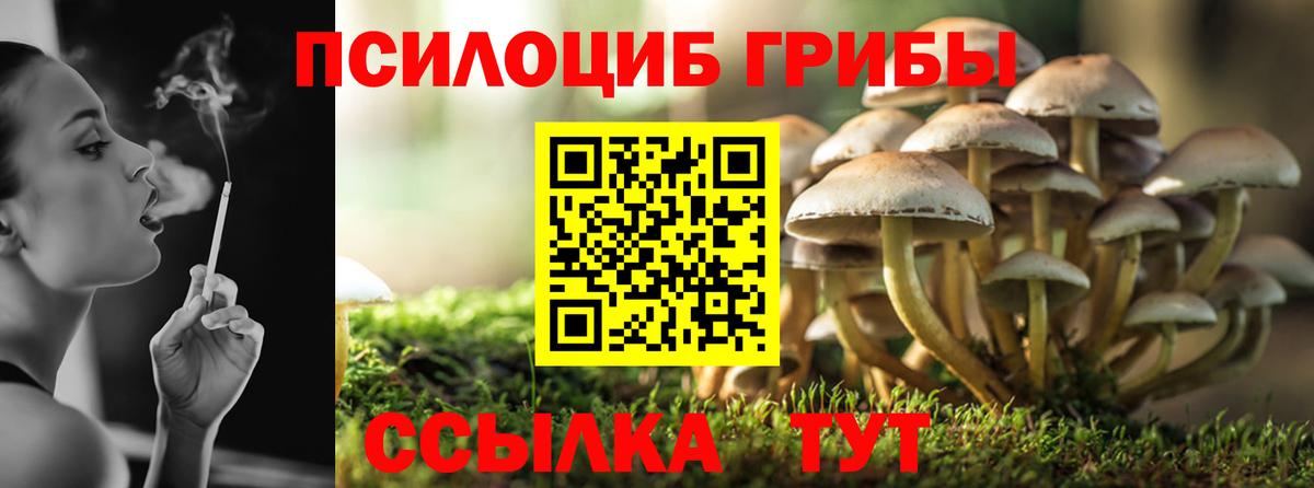 Фрязино  Псилоцибиновые грибы мухоморы  Вход с VPN 